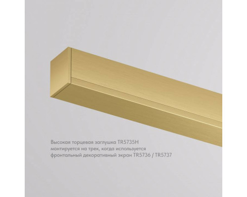 Заглушка для трека Denkirs SHINE BASE TR5735H-SB