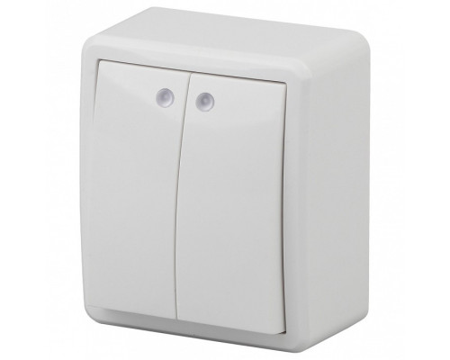 Выключатель двухклавишный с подсветкой Эра Эра Эксперт 11-1205-01