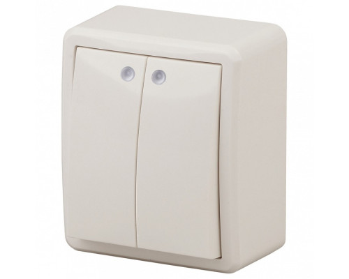 Выключатель двухклавишный с подсветкой Эра Эра Эксперт 11-1205-02