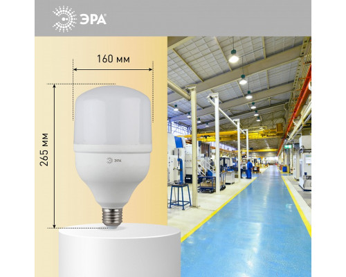 Лампа светодиодная Эра Стандарт LED POWER T160-100W-4000-E27/E40