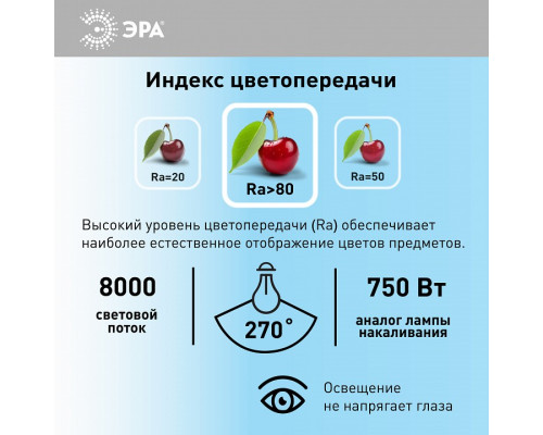 Лампа светодиодная Эра Стандарт LED POWER T160-100W-6500-E27/E40