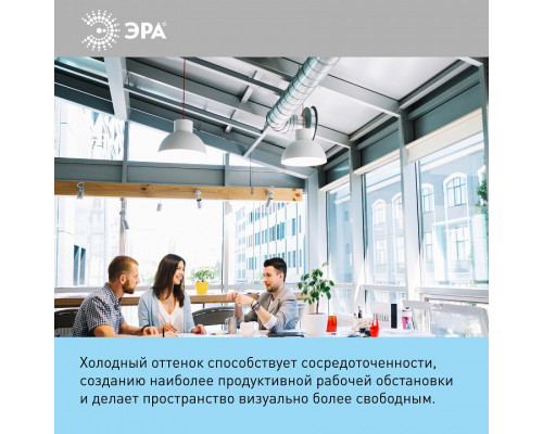 Лампа светодиодная Эра Стандарт LED POWER T160-100W-6500-E27/E40