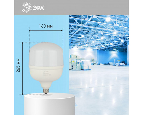 Лампа светодиодная Эра Стандарт LED POWER T160-100W-6500-E27/E40