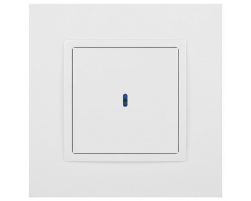 Выключатель одноклавишный с подсветкой без рамки Эра Эра Elegance 14-1102-01