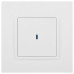 Выключатель одноклавишный с подсветкой без рамки Эра Эра Elegance 14-1102-01