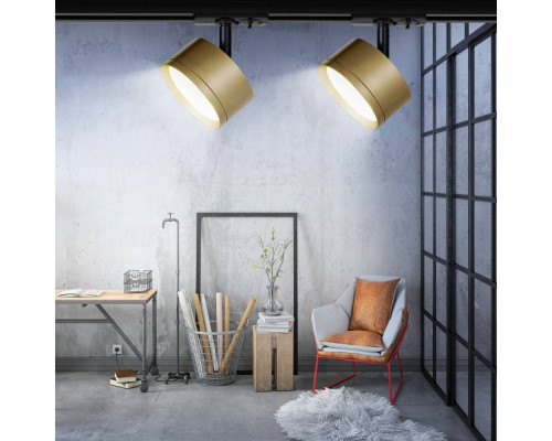 Светильник на штанге Эра  TR48 - GX53 MG