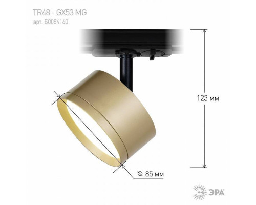 Светильник на штанге Эра  TR48 - GX53 MG