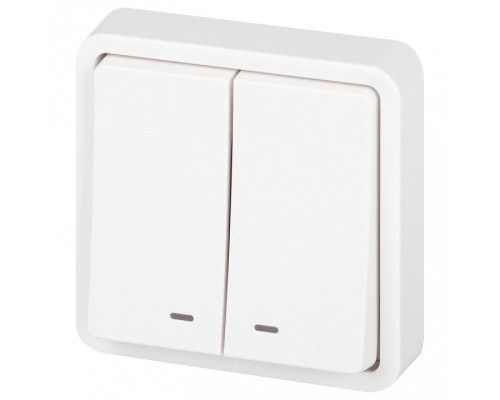 Выключатель двухклавишный с подсветкой Эра Эра Эксперт 11-1525-01