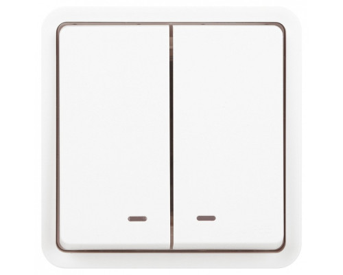 Выключатель двухклавишный с подсветкой Эра Эра Эксперт 11-1525-01