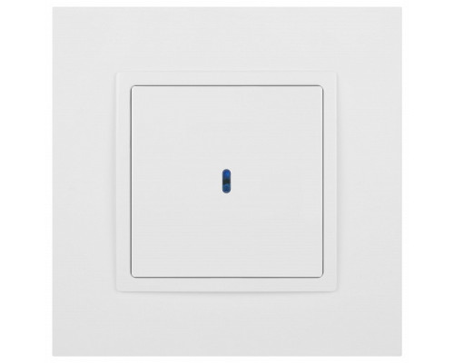 Выключатель одноклавишный с подсветкой без рамки Эра Эра Elegance 14-1102-01М