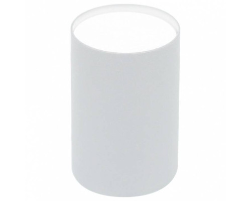 Накладной светильник Эра  OL57 WH