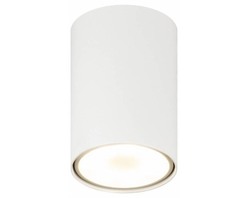 Накладной светильник Эра  OL57 WH