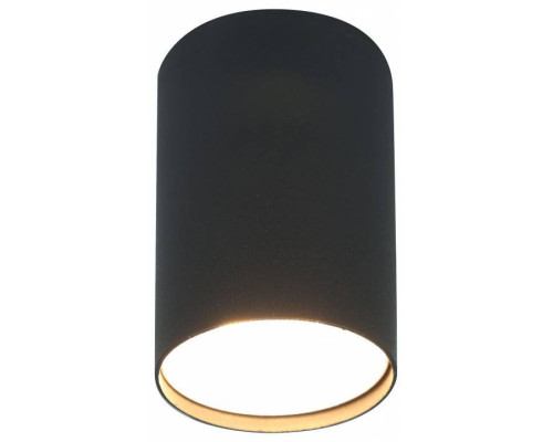 Накладной светильник Эра  OL57 BK