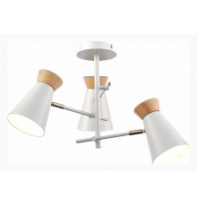 Потолочная люстра EVOLUCE Alfeo SLE1252-502-03