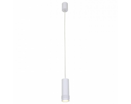 Подвесной светильник Favourite Kinescope 2453-1P