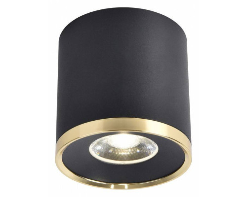 Потолочный светильник Favourite Prakash 3086-2C