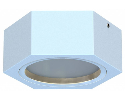 Накладной светильник Favourite Fantum 4665-1U