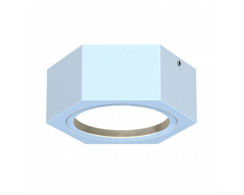 Накладной светильник Favourite Fantum 4665-1U