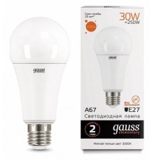 Лампа светодиодная Gauss Led Elementary A67 E27 30Вт 3000K 73219