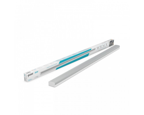 Накладной светильник Gauss  883525236