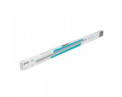 Накладной светильник Gauss  883525236