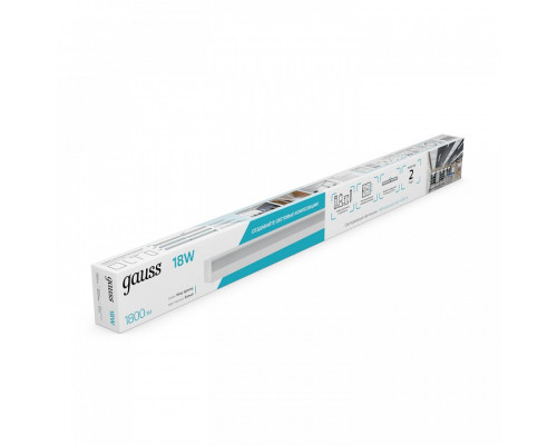 Накладной светильник Gauss  883525280