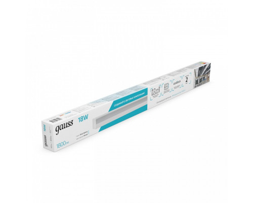 Накладной светильник Gauss  883525280