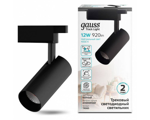 Светильник на штанге Gauss TR TR065