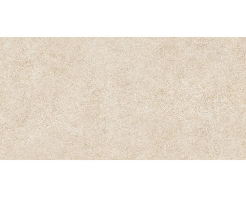 GFA114ADM40R керамогранит сатинированный Amsterdam 570*1140*8,5 (2 шт в уп/42.9 м в пал)