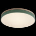 Накладной светильник Loft it Axel 10001/36 Green