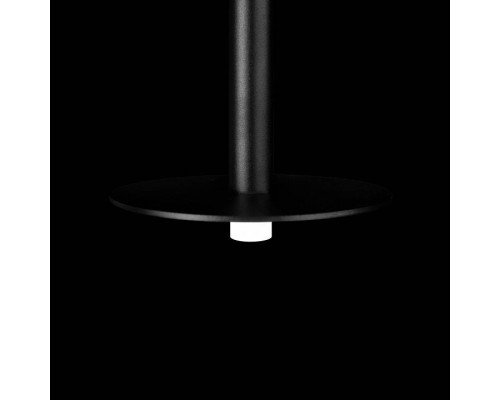 Подвесной светильник Loft it Reed 10358/830 Disk