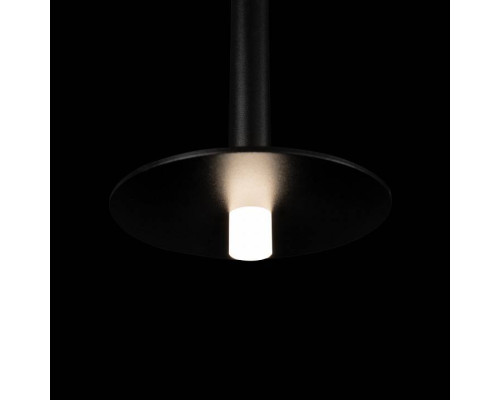 Подвесной светильник Loft it Reed 10358/830 Disk