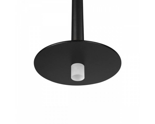 Подвесной светильник Loft it Reed 10358/830 Disk