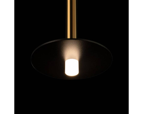 Подвесной светильник Loft it Reed 10358/830 Disk AB