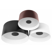 Потолочная люстра Loft it Duo 10360/3