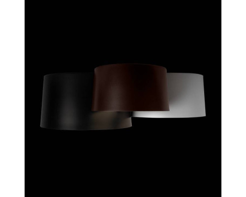 Потолочная люстра Loft it Duo 10360/3