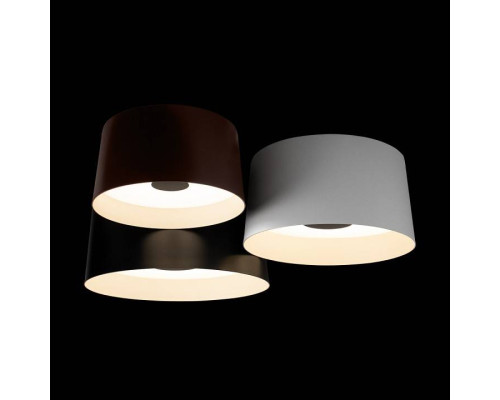 Потолочная люстра Loft it Duo 10360/3