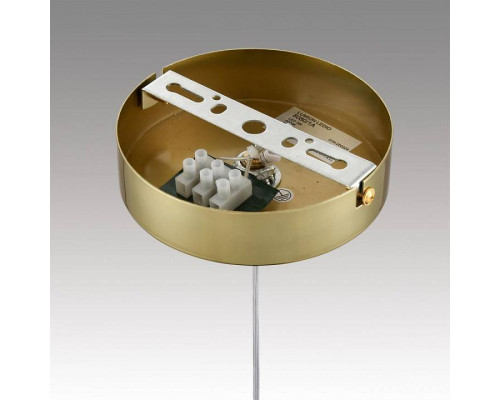 Подвесной светильник Lumion TRINO 8080/1A