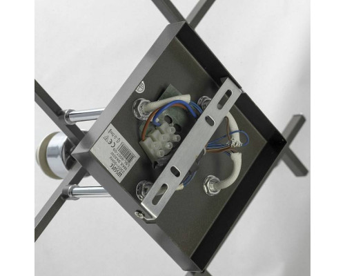 Потолочная люстра Lussole Costanzo LSL-9007-09