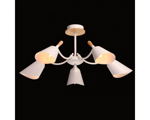 Люстра на штанге De City Дэла 5 635014805