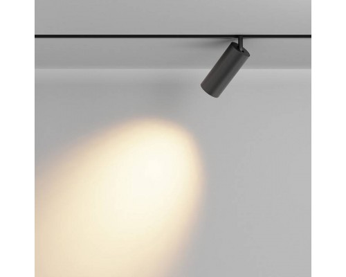 Светильник на штанге Maytoni Focus LED TR032-2-20W2.7K-M-B