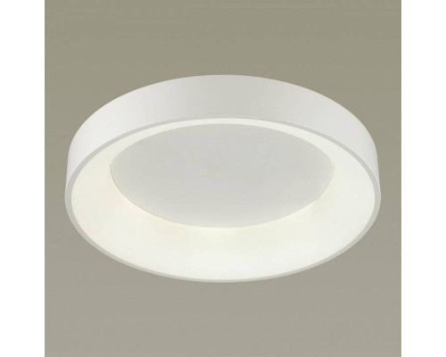 Накладной светильник Odeon Light Sole 4062/50CL