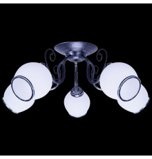 Потолочная люстра 07987-0.3-05