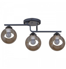 Светильник на штанге 32317-0.3-03