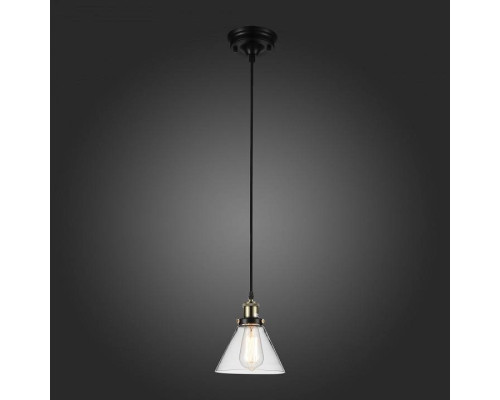 Подвесной светильник ST-Luce Evoluto SL237.403.01