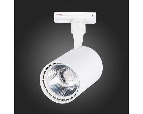 Светильник на штанге ST-Luce Cami ST351.536.15.24