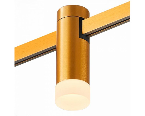 Накладной светильник ST-Luce FARM ST812.206.03