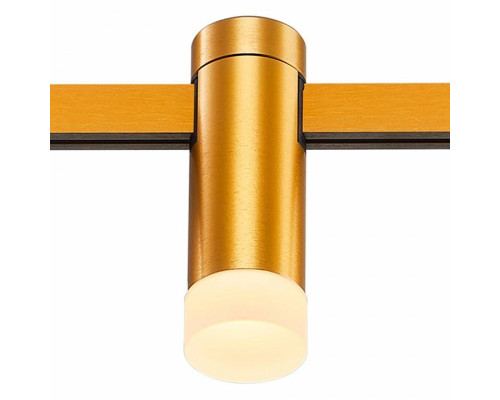 Накладной светильник ST-Luce FARM ST812.206.03