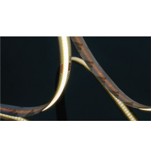 Лента светодиодная SWG PRO SWG-COB SWG-COB840-24-18-RGBWW