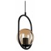 Подвесной светильник TopLight Kerrie TL1609H-01BK